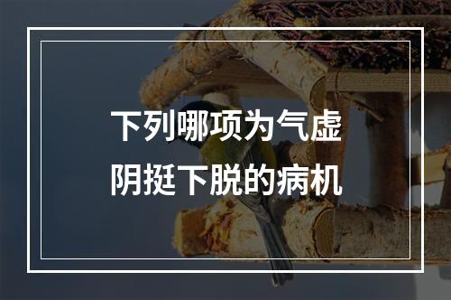 下列哪项为气虚阴挺下脱的病机