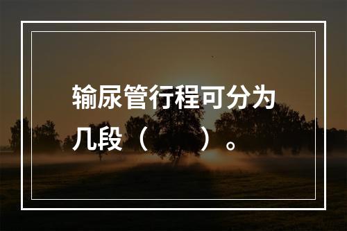 输尿管行程可分为几段（　　）。