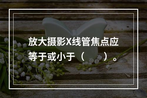 放大摄影X线管焦点应等于或小于（　　）。