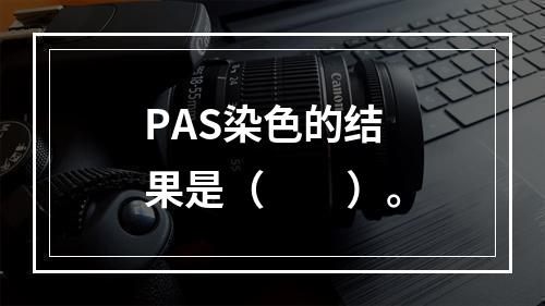 PAS染色的结果是（　　）。