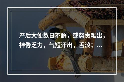 产后大便数日不解，或努责难出，神倦乏力，气短汗出，舌淡；苔薄