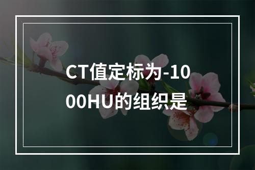 CT值定标为-1000HU的组织是