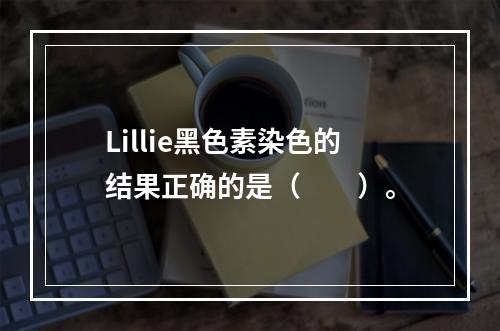 Lillie黑色素染色的结果正确的是（　　）。