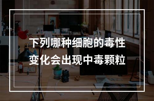 下列哪种细胞的毒性变化会出现中毒颗粒