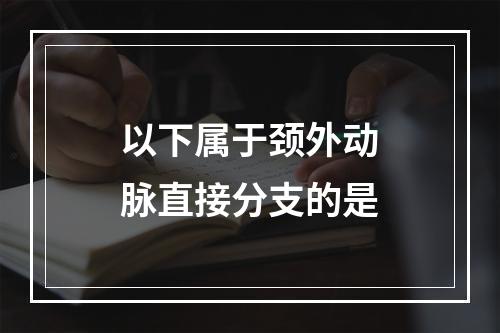 以下属于颈外动脉直接分支的是