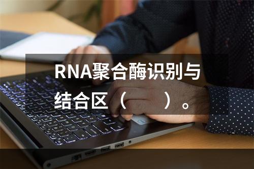 RNA聚合酶识别与结合区（　　）。