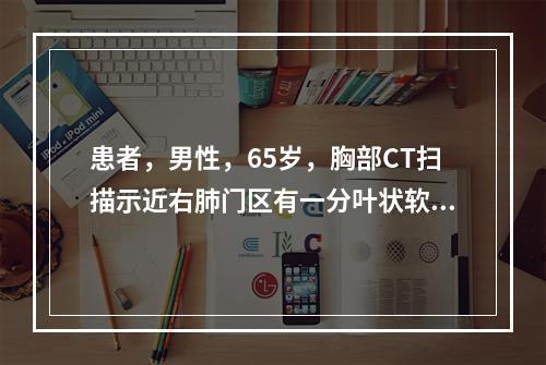 患者，男性，65岁，胸部CT扫描示近右肺门区有一分叶状软组