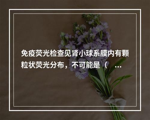 免疫荧光检查见肾小球系膜内有颗粒状荧光分布，不可能是（　　）