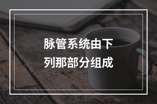 脉管系统由下列那部分组成