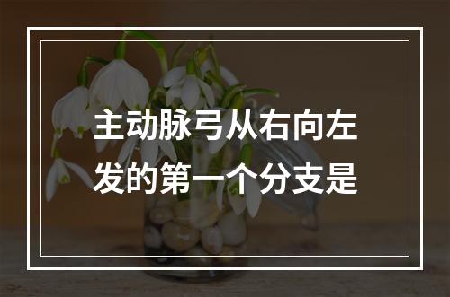 主动脉弓从右向左发的第一个分支是