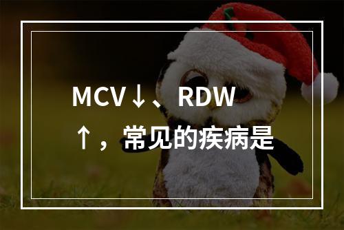 MCV↓、RDW↑，常见的疾病是