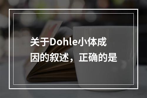 关于Dohle小体成因的叙述，正确的是