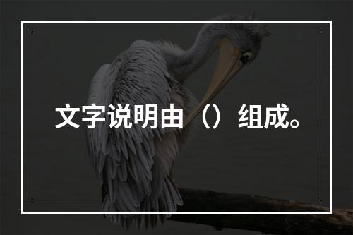 文字说明由（）组成。