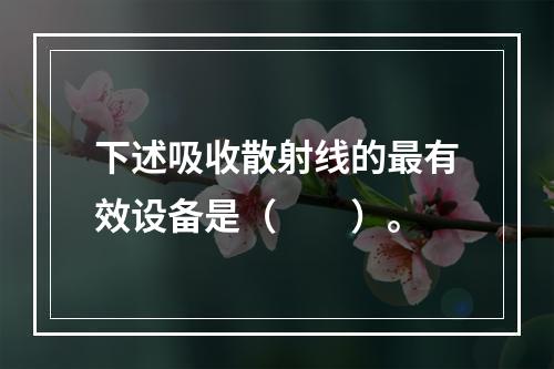 下述吸收散射线的最有效设备是（　　）。