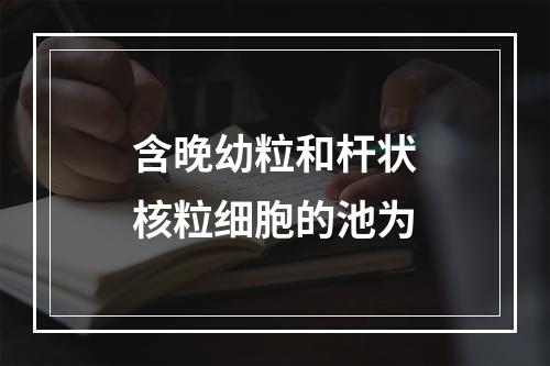 含晚幼粒和杆状核粒细胞的池为