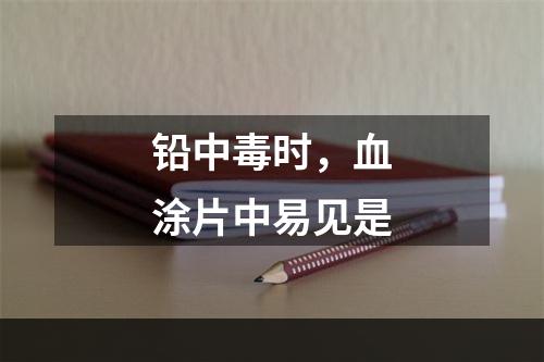 铅中毒时，血涂片中易见是