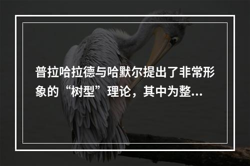 普拉哈拉德与哈默尔提出了非常形象的“树型”理论，其中为整棵树