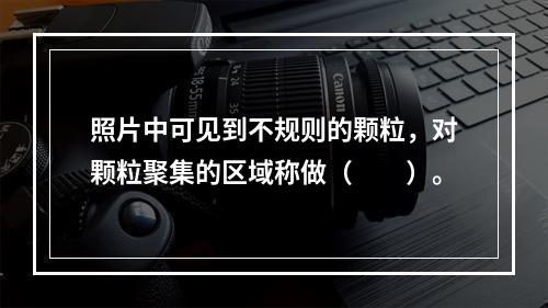 照片中可见到不规则的颗粒，对颗粒聚集的区域称做（　　）。