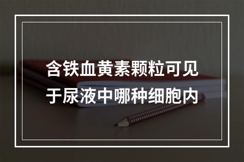 含铁血黄素颗粒可见于尿液中哪种细胞内