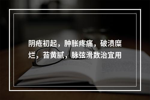 阴疮初起，肿胀疼痛，破溃糜烂，苔黄腻，脉弦滑数治宜用