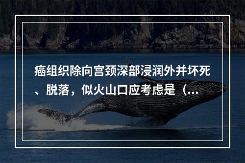 癌组织除向宫颈深部浸润外并坏死、脱落，似火山口应考虑是（　　