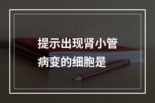 提示出现肾小管病变的细胞是