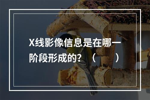 X线影像信息是在哪一阶段形成的？（　　）