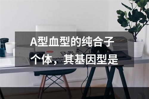 A型血型的纯合子个体，其基因型是