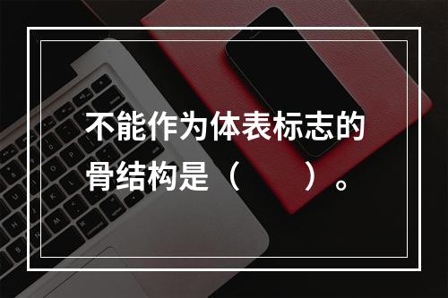 不能作为体表标志的骨结构是（　　）。