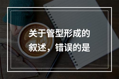 关于管型形成的叙述，错误的是