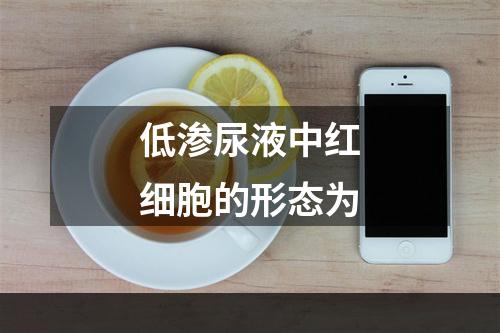 低渗尿液中红细胞的形态为