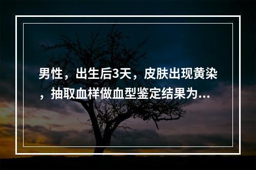 男性，出生后3天，皮肤出现黄染，抽取血样做血型鉴定结果为：正