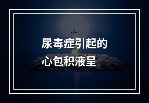 尿毒症引起的心包积液呈