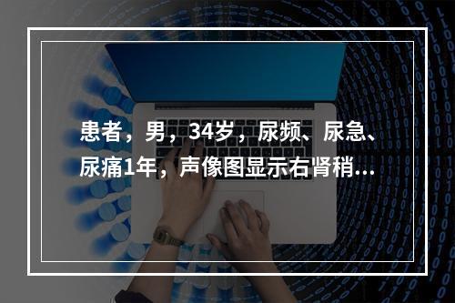 患者，男，34岁，尿频、尿急、尿痛1年，声像图显示右肾稍大