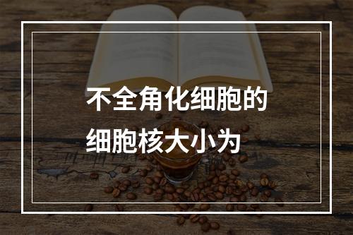 不全角化细胞的细胞核大小为