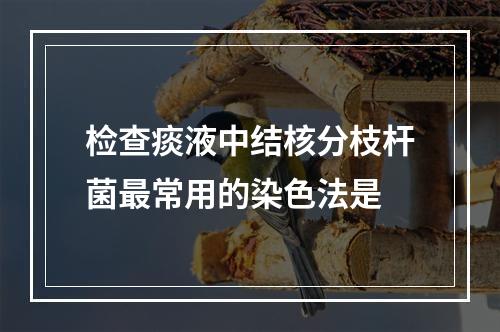 检查痰液中结核分枝杆菌最常用的染色法是