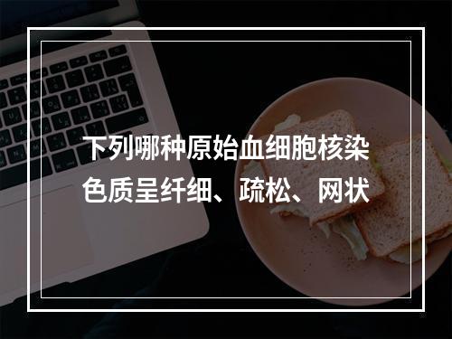 下列哪种原始血细胞核染色质呈纤细、疏松、网状