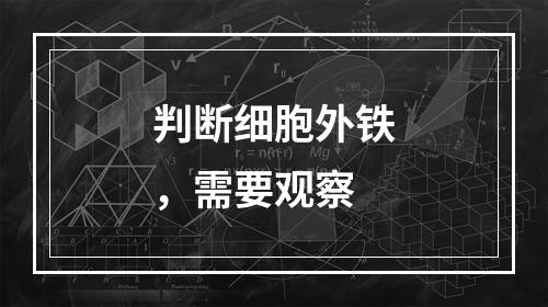 判断细胞外铁，需要观察