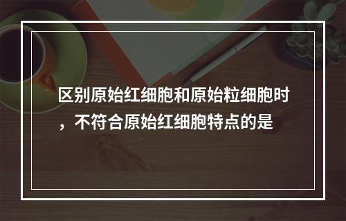 区别原始红细胞和原始粒细胞时，不符合原始红细胞特点的是