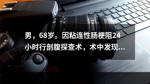 男，68岁。因粘连性肠梗阻24小时行剖腹探查术，术中发现肠系