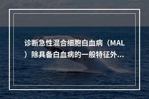 诊断急性混合细胞白血病（MAL）除具备白血病的一般特征外，最