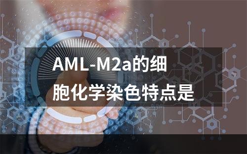 AML-M2a的细胞化学染色特点是