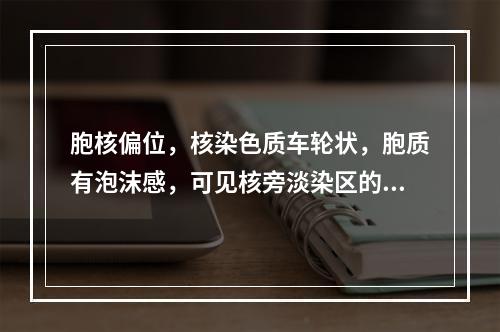 胞核偏位，核染色质车轮状，胞质有泡沫感，可见核旁淡染区的是