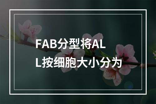 FAB分型将ALL按细胞大小分为