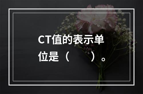 CT值的表示单位是（　　）。