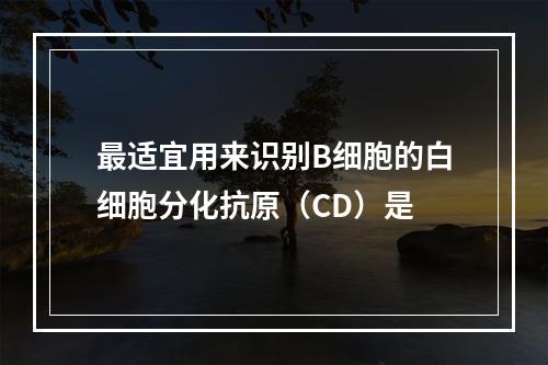 最适宜用来识别B细胞的白细胞分化抗原（CD）是