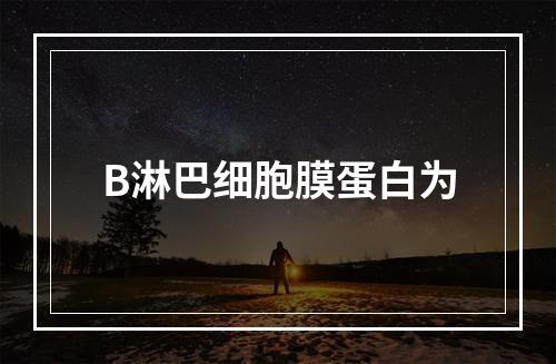 B淋巴细胞膜蛋白为