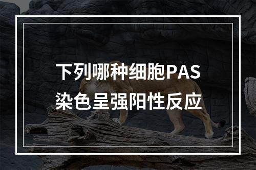 下列哪种细胞PAS染色呈强阳性反应