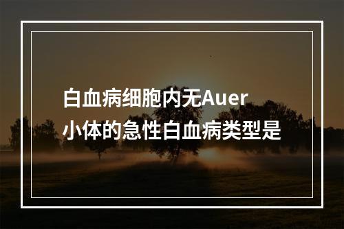 白血病细胞内无Auer小体的急性白血病类型是