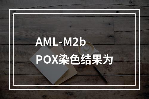 AML-M2b POX染色结果为